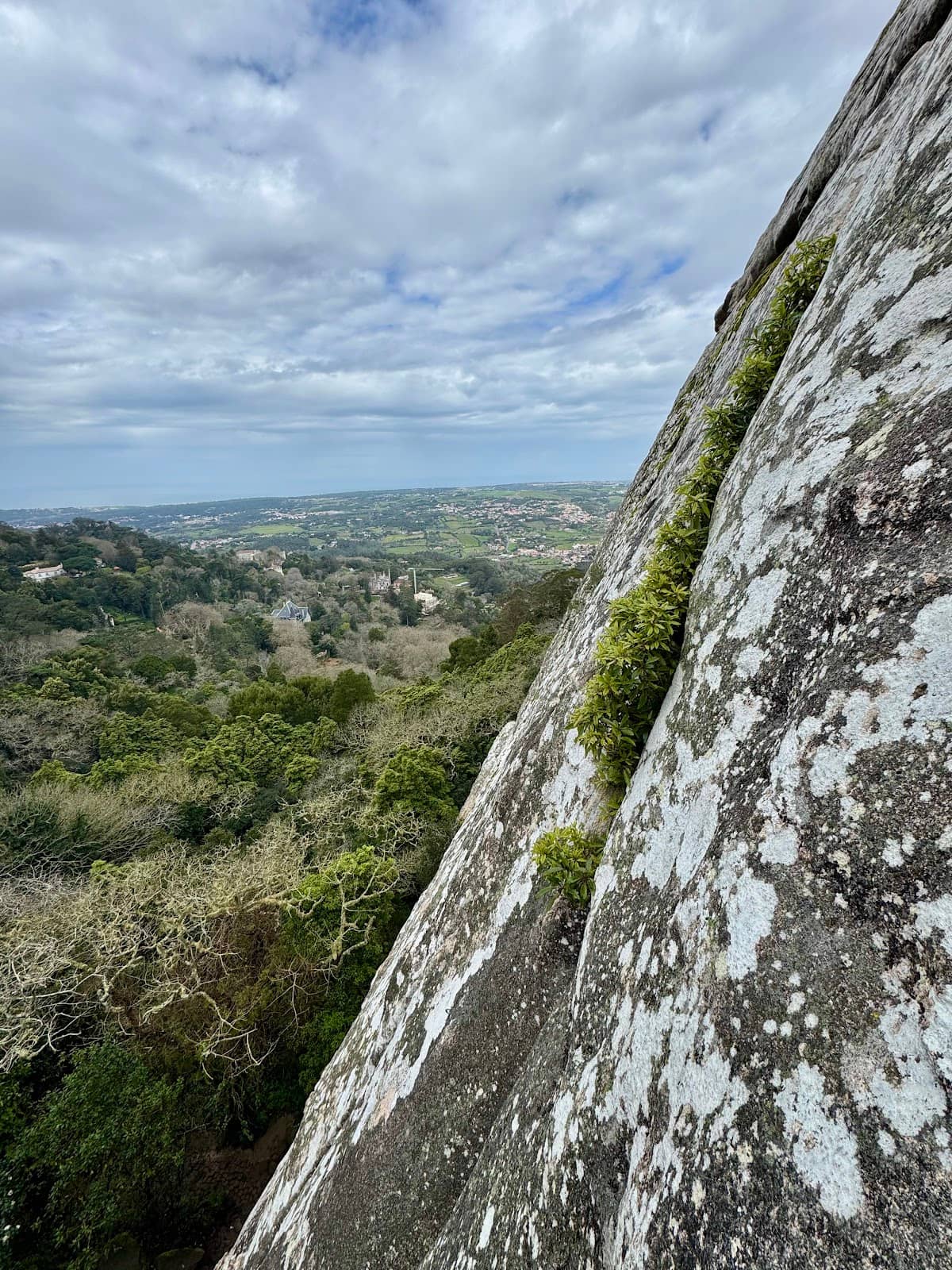 Vertical photo