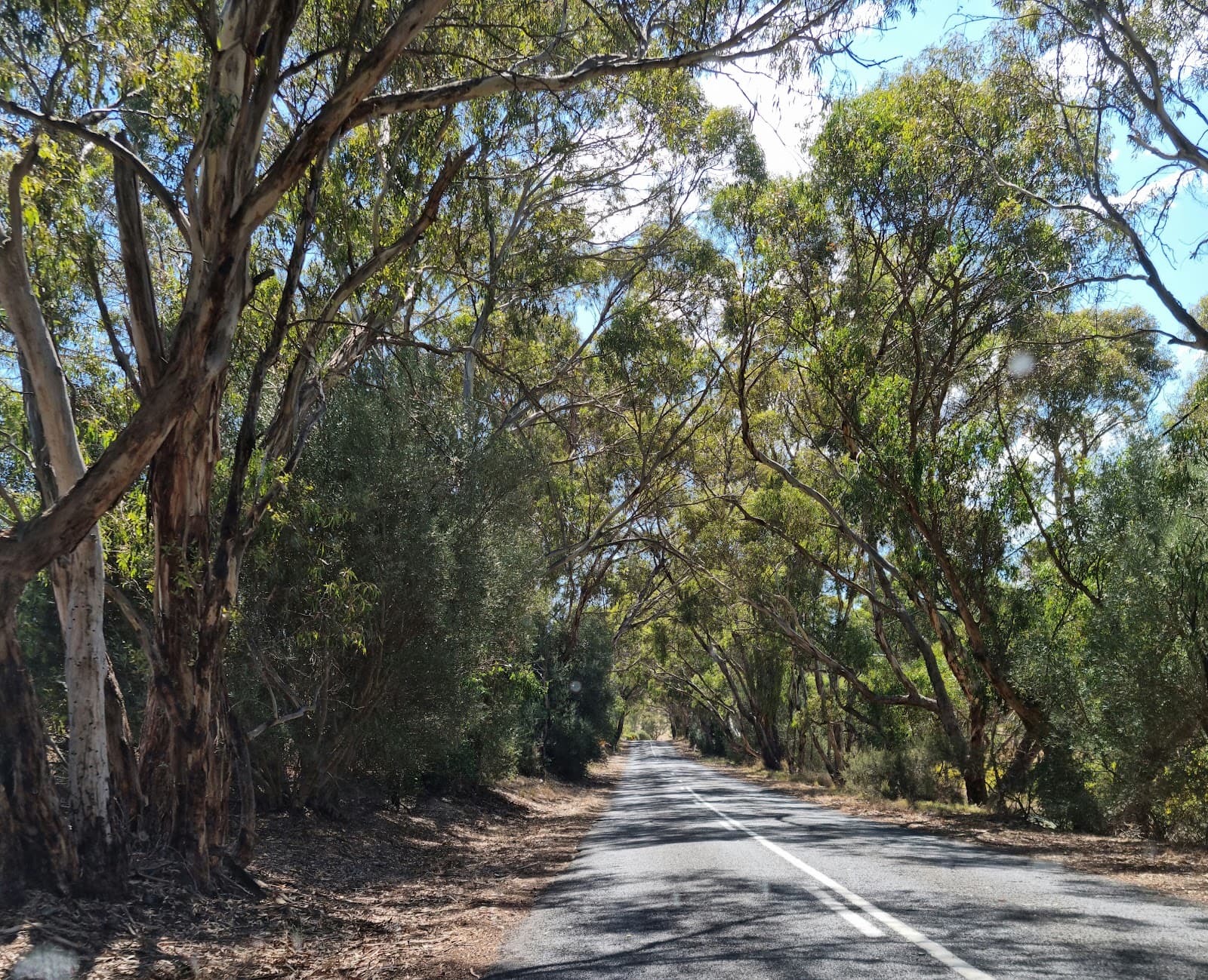 Blewitt Springs - Image 1