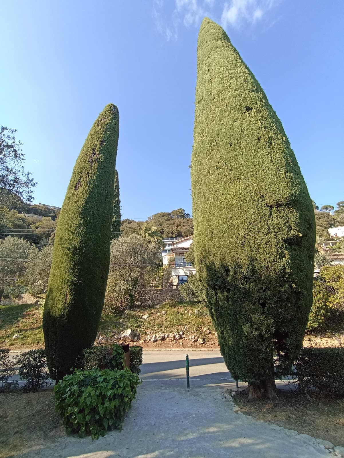 Vertical photo