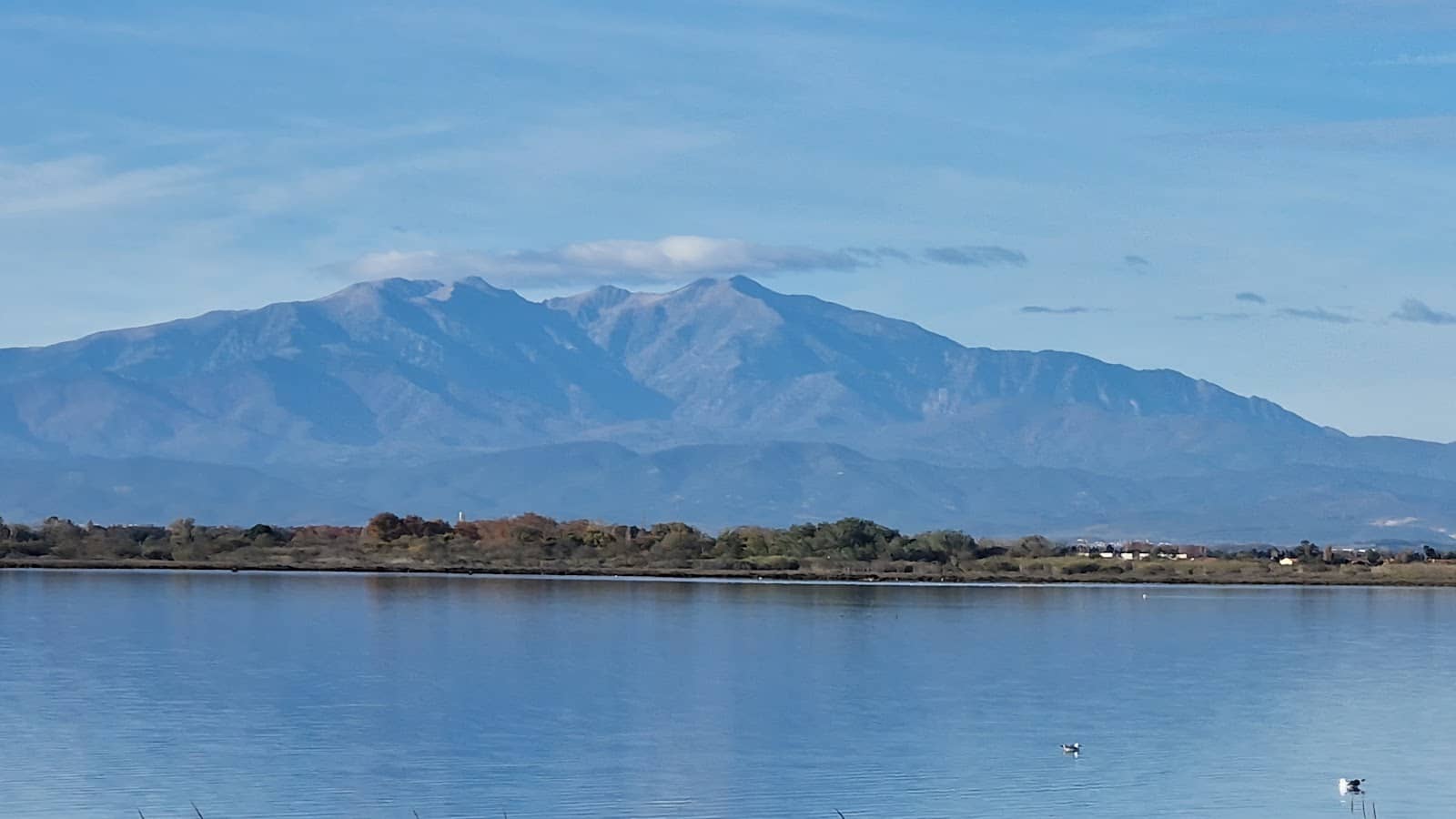 Birdwatcher's Paradise