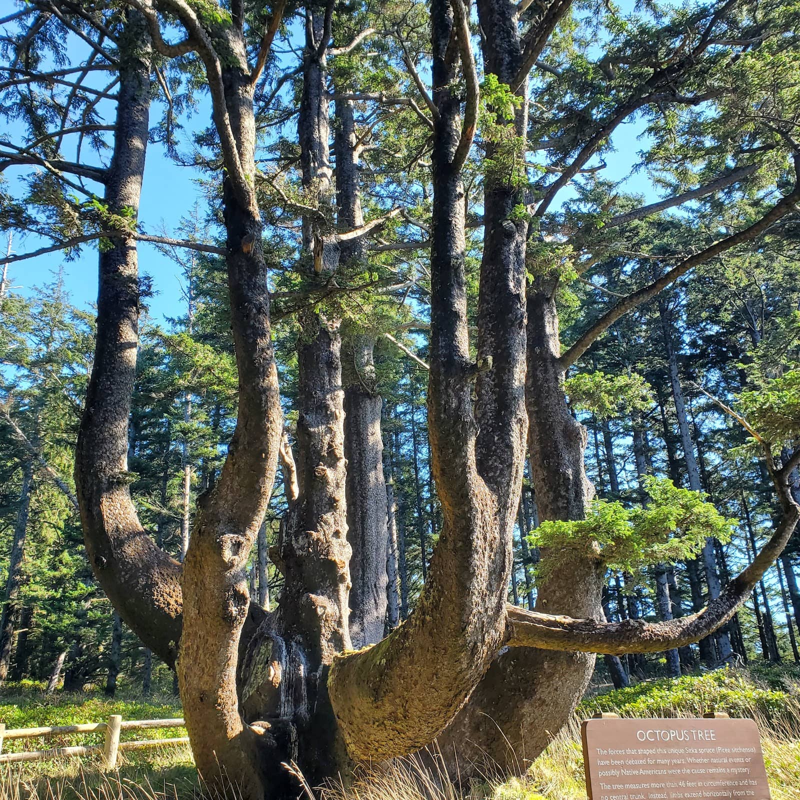 Panoramic Coastal Vistas