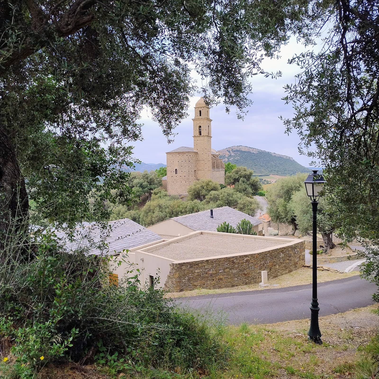 Vertical photo