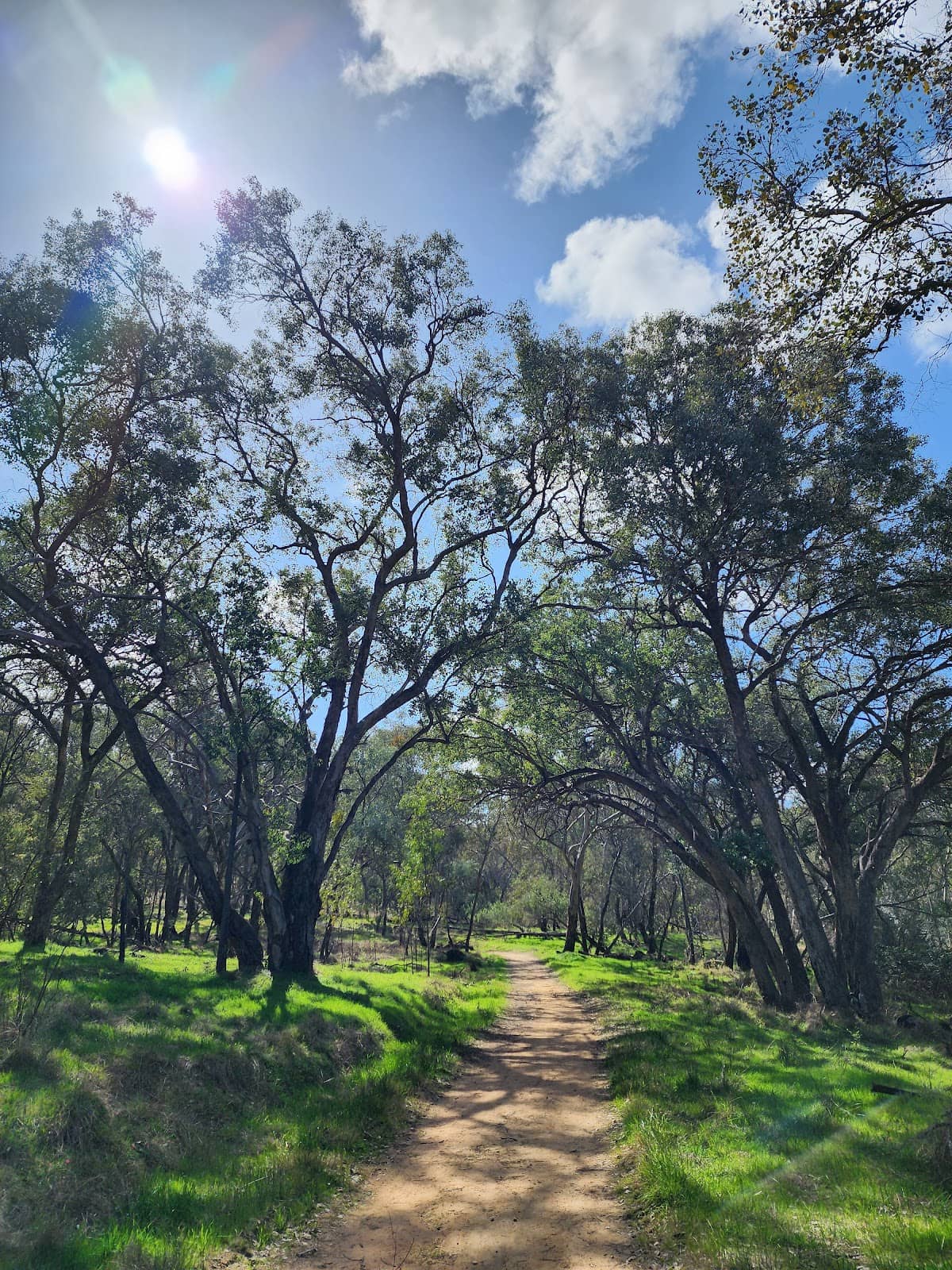 Scenic Walking Paths