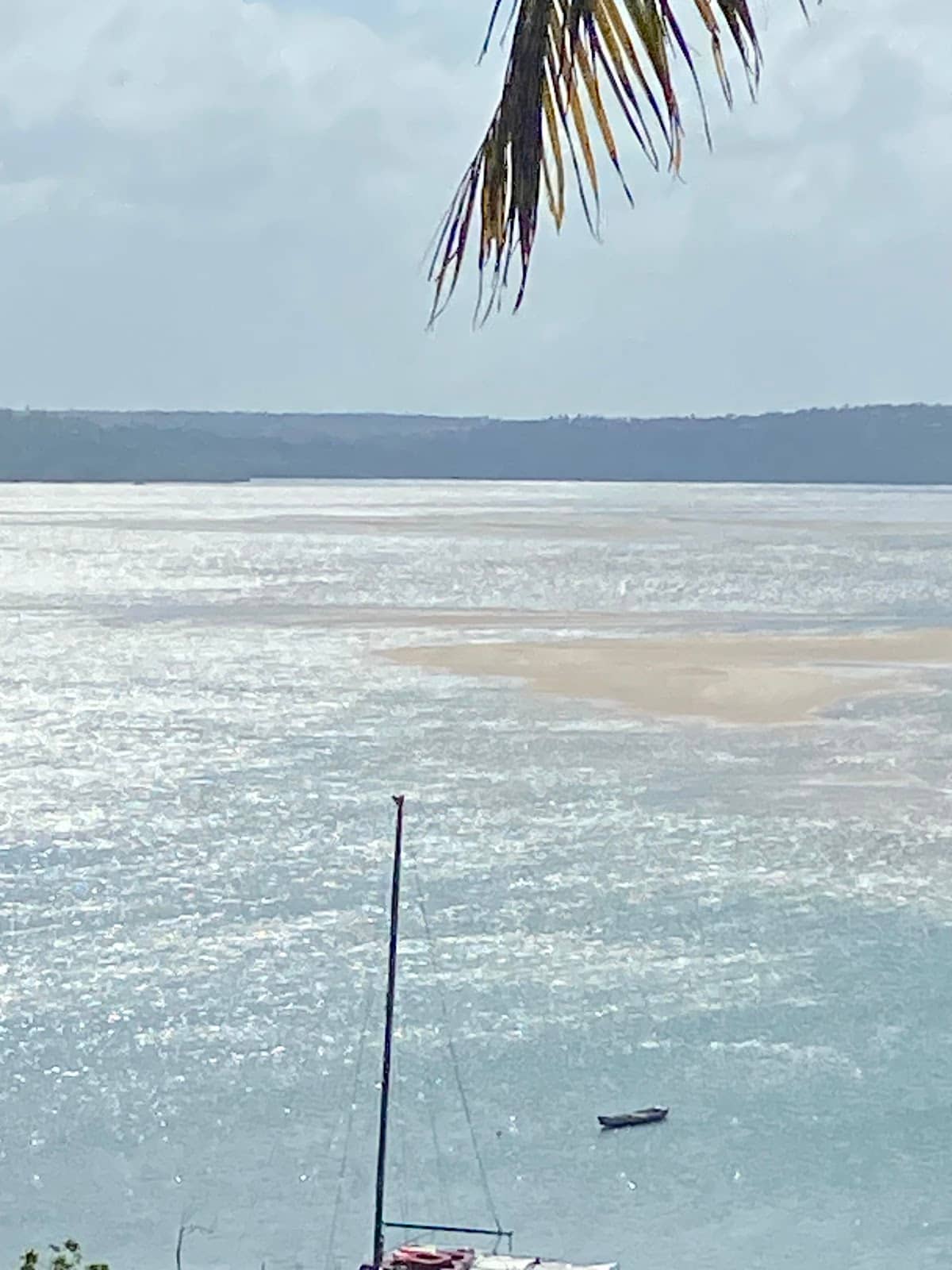 Vertical photo