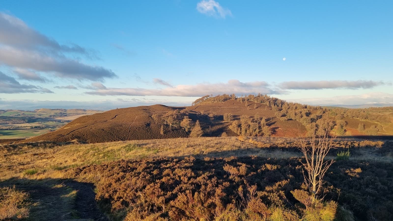 Balkello Community Woodland - Image 1