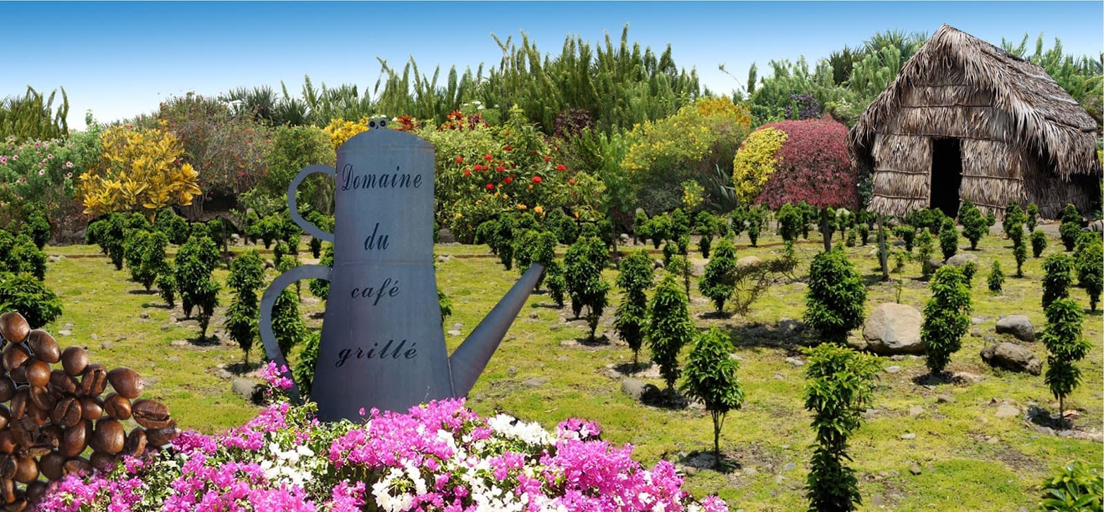 Domaine du Café Grillé Saint-Pierre - Image 1