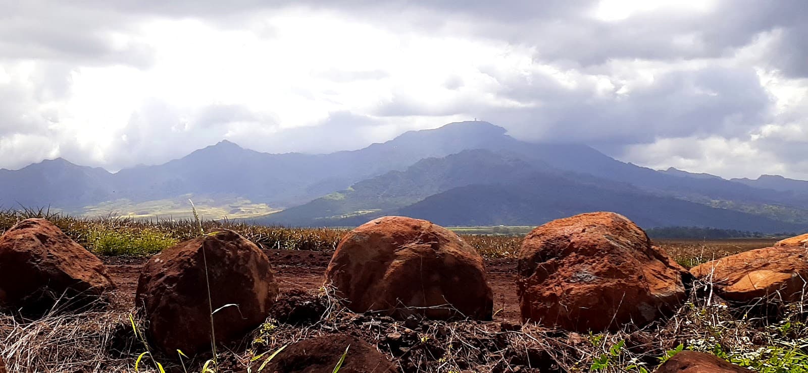 Whitmore Village - Image 1