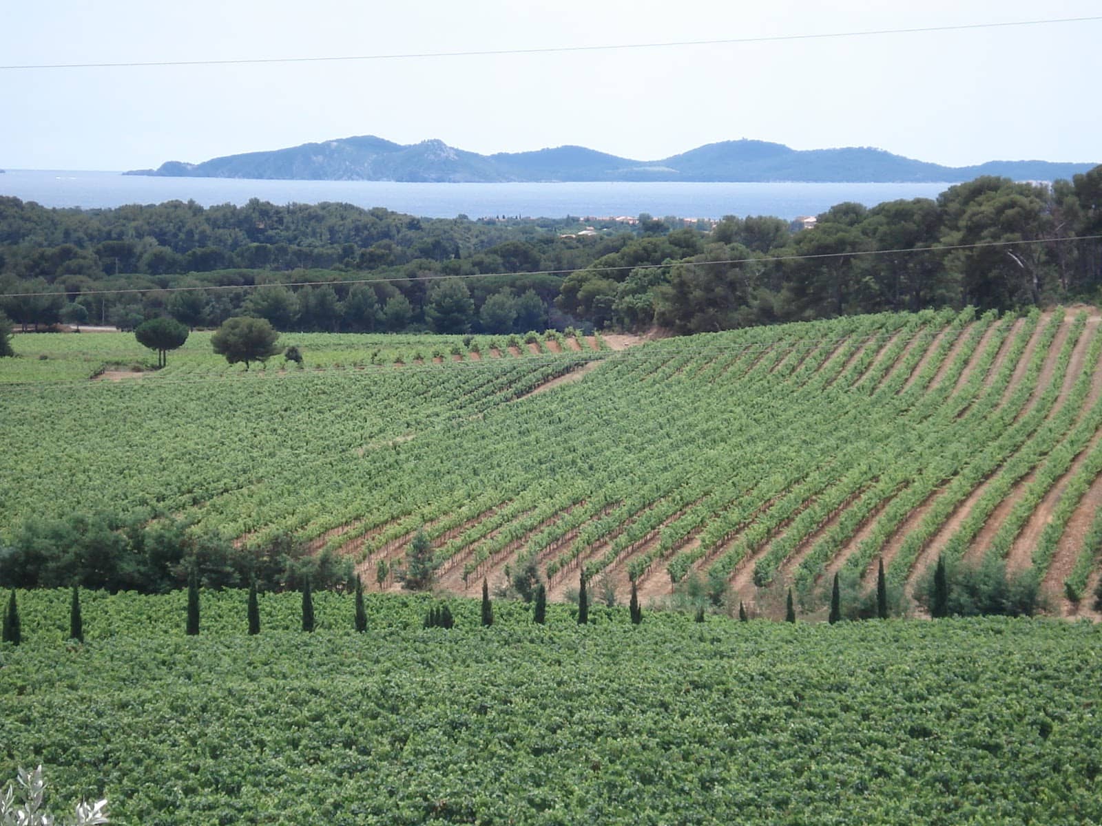 Charming Accommodation