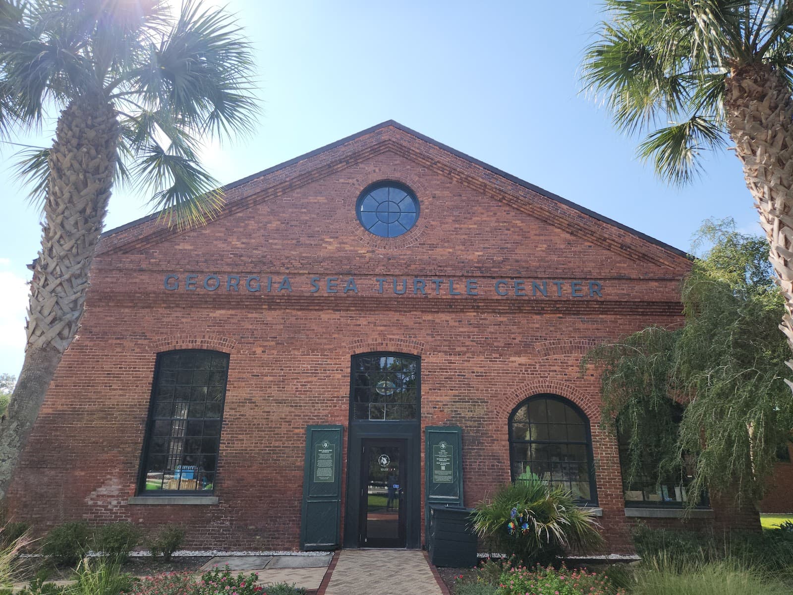 Georgia Sea Turtle Center - Image 1