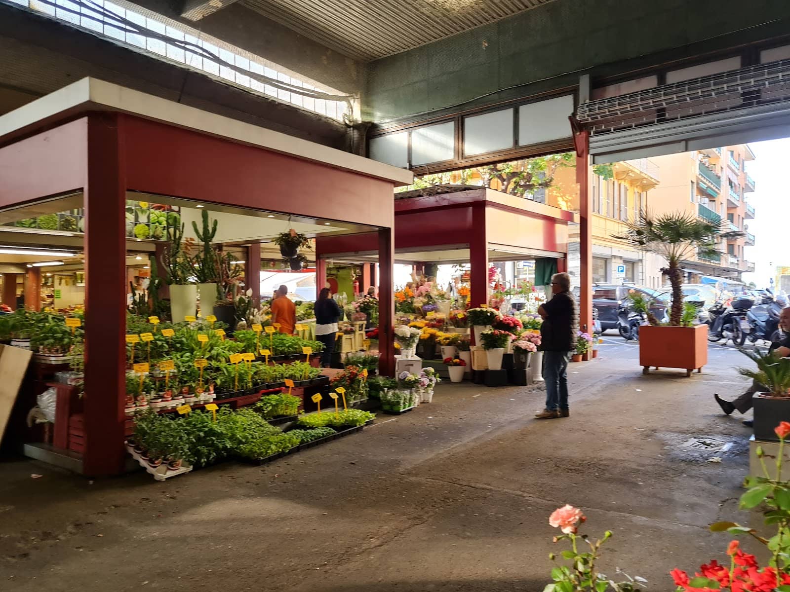 Floral Wonders