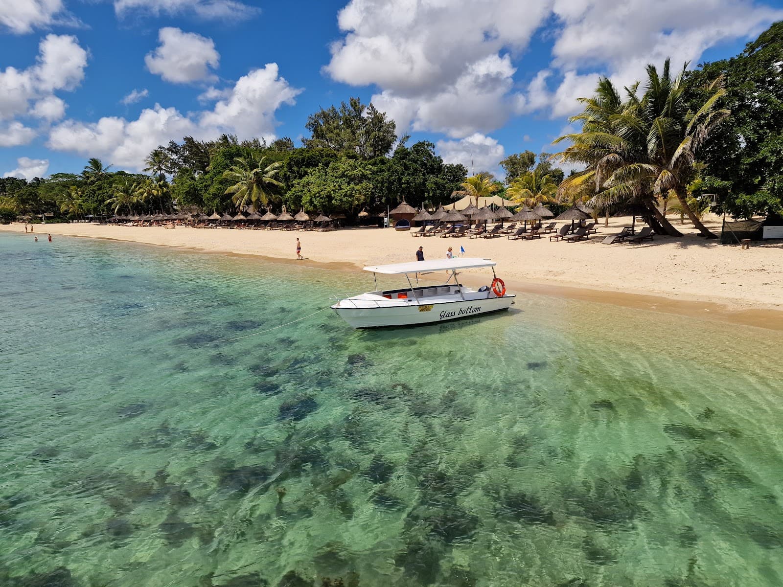 Turtle Bay Marine Park - Image 1