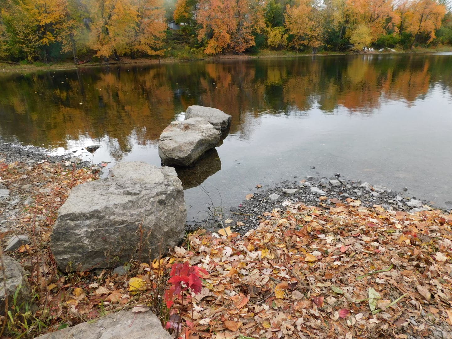 Almonte Beach - Image 1