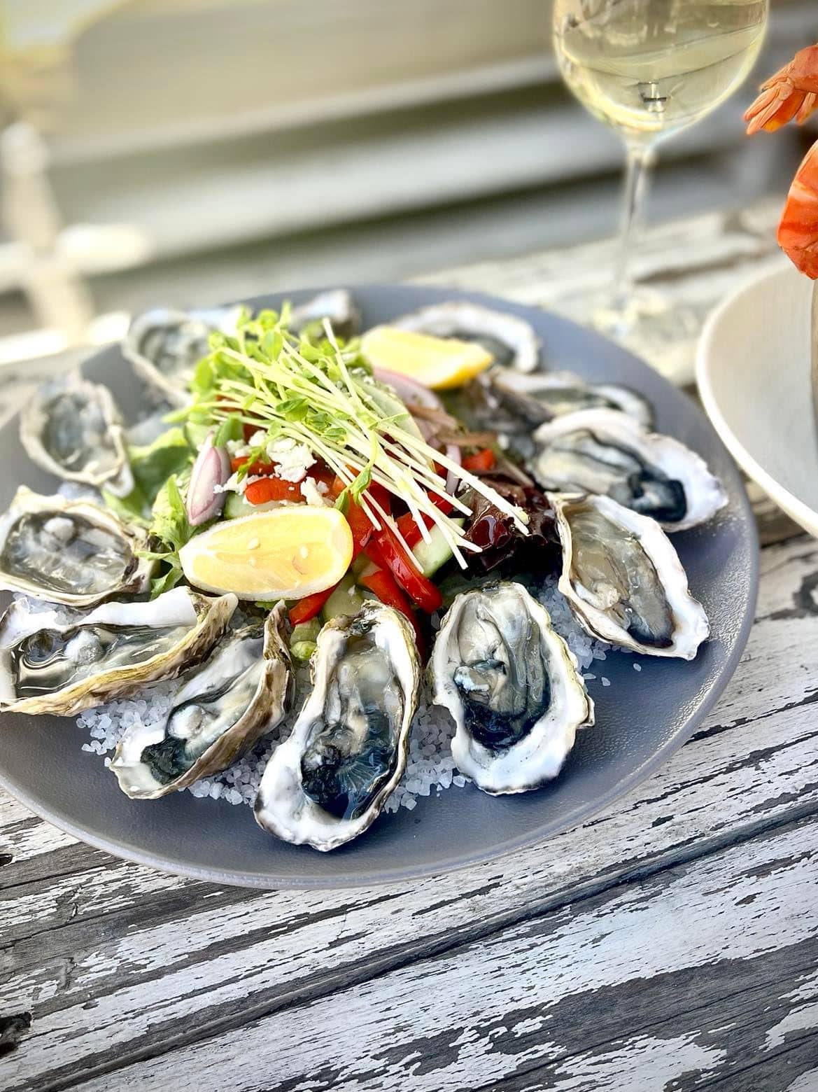 Live Music Performances