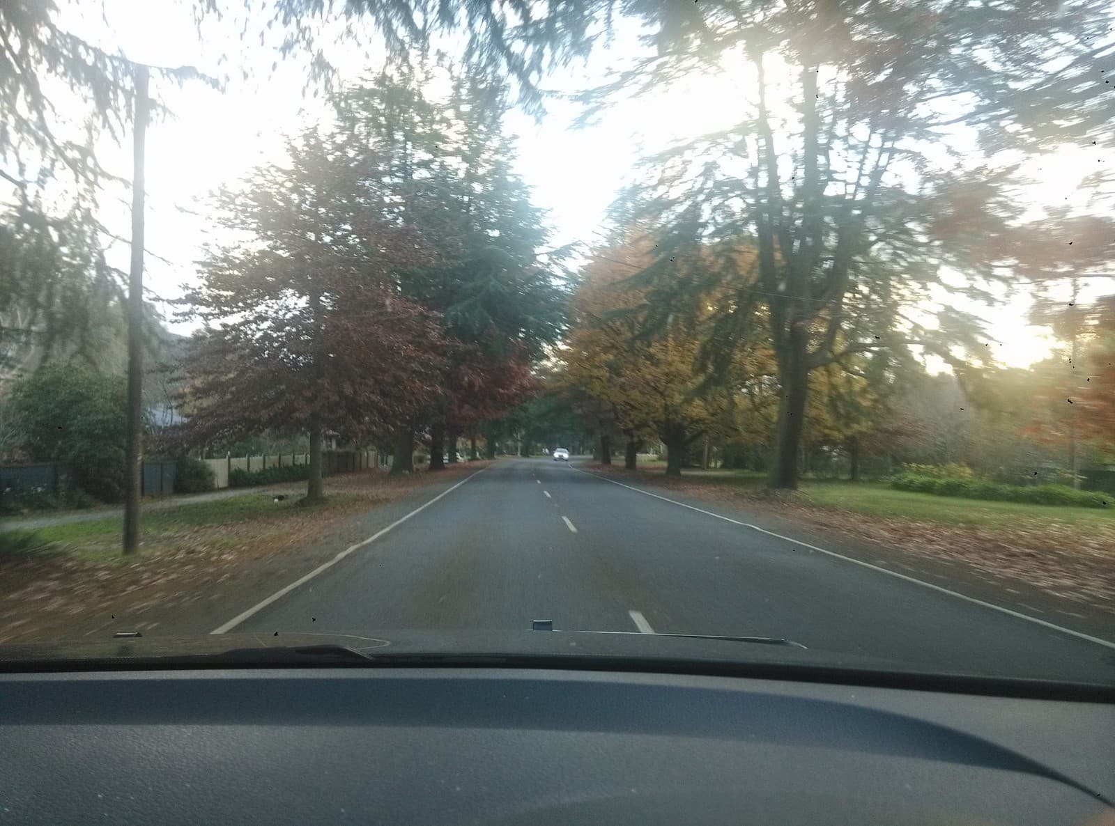 Delany Avenue - Image 1