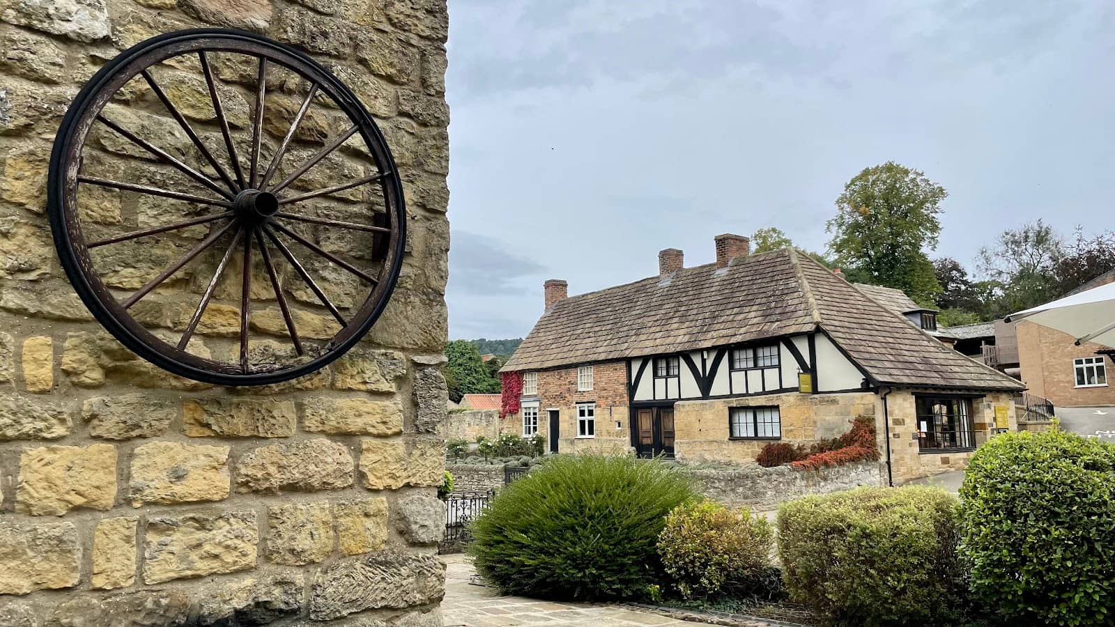 Live Workshop Viewing