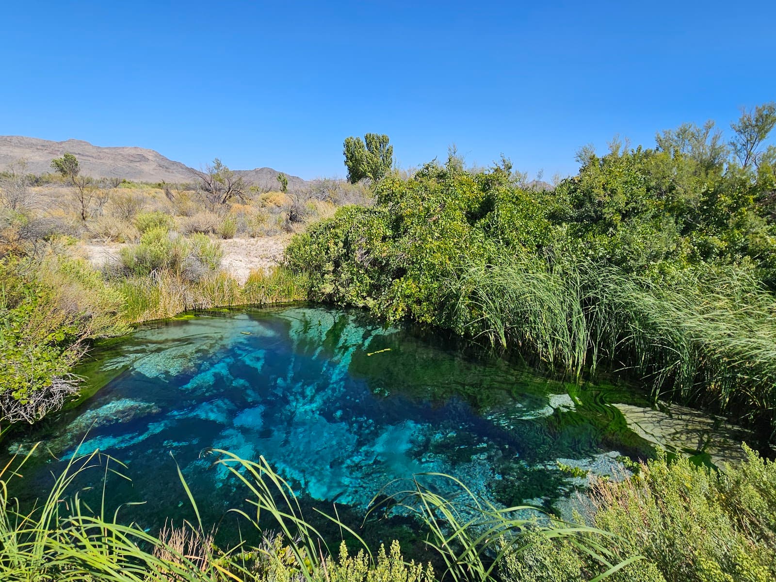 Ash Meadows National Wildlife Refuge - Image 1