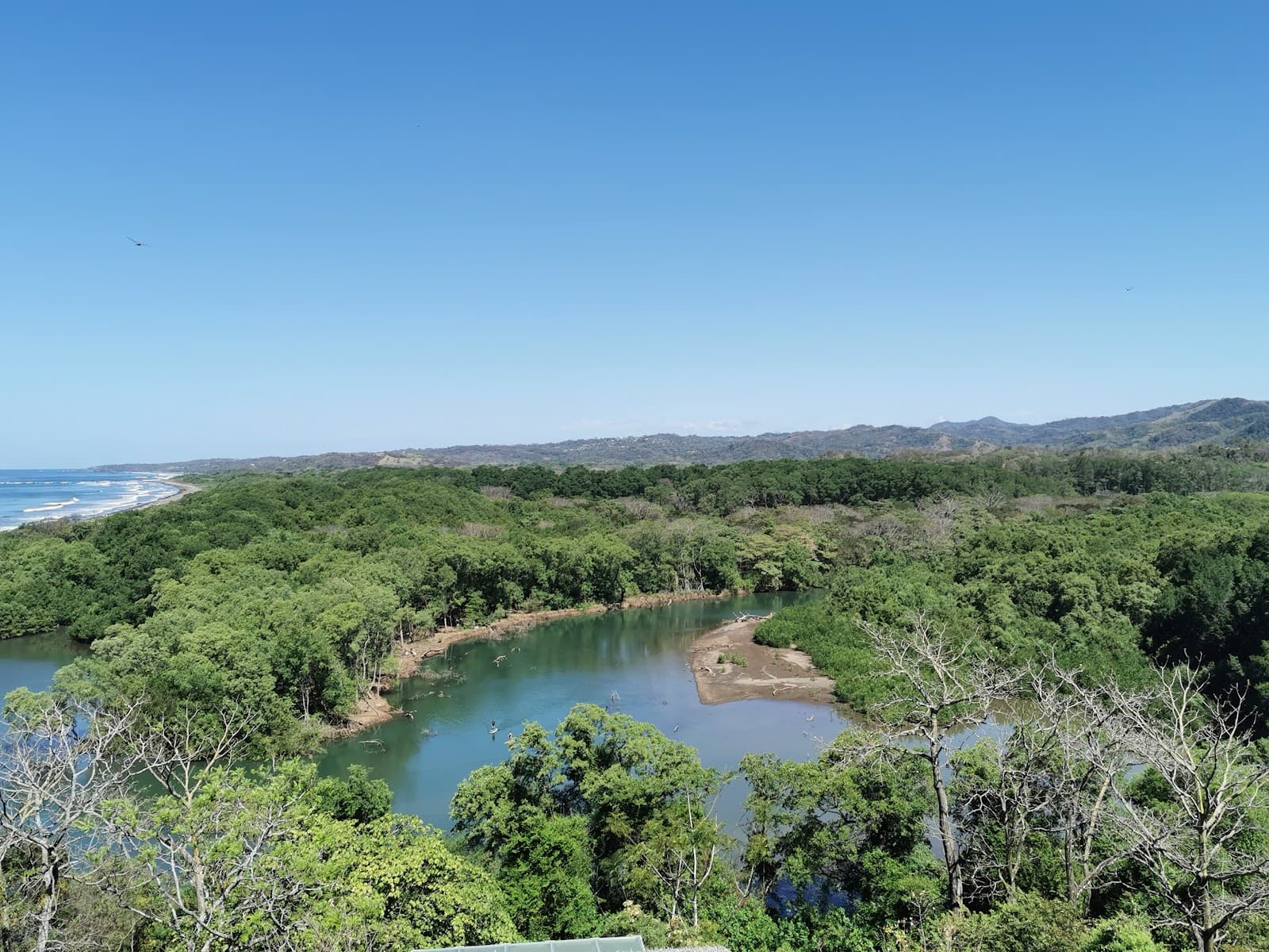 Nosara Biological Reserve Lagarta - Image 1