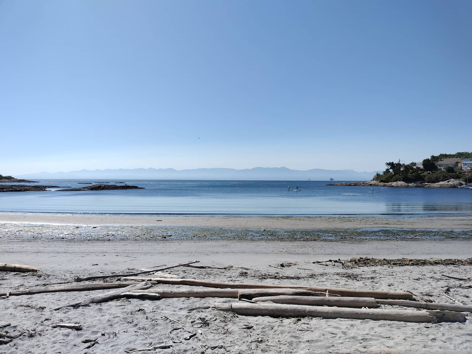 Sandy Shoreline Strolls