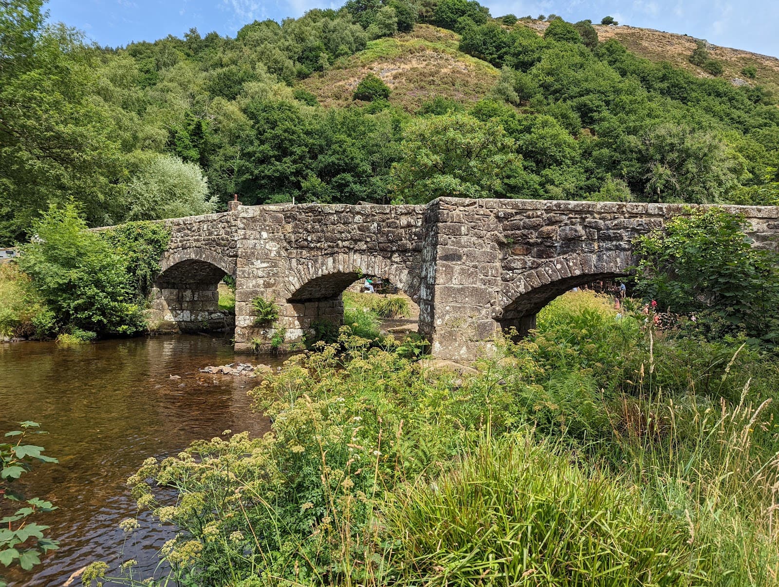Fingle Bridge and Teign Gorge - Image 1