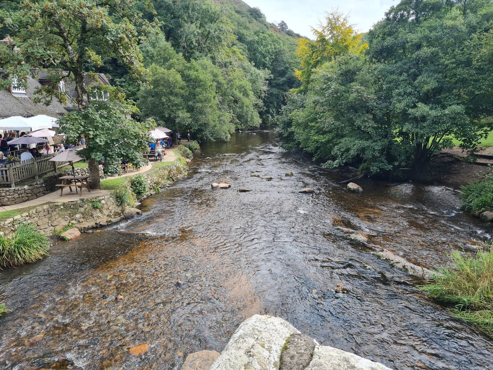 Vertical photo