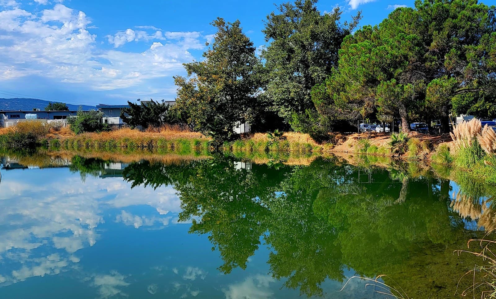 Los Gatos Creek Trail - Image 1