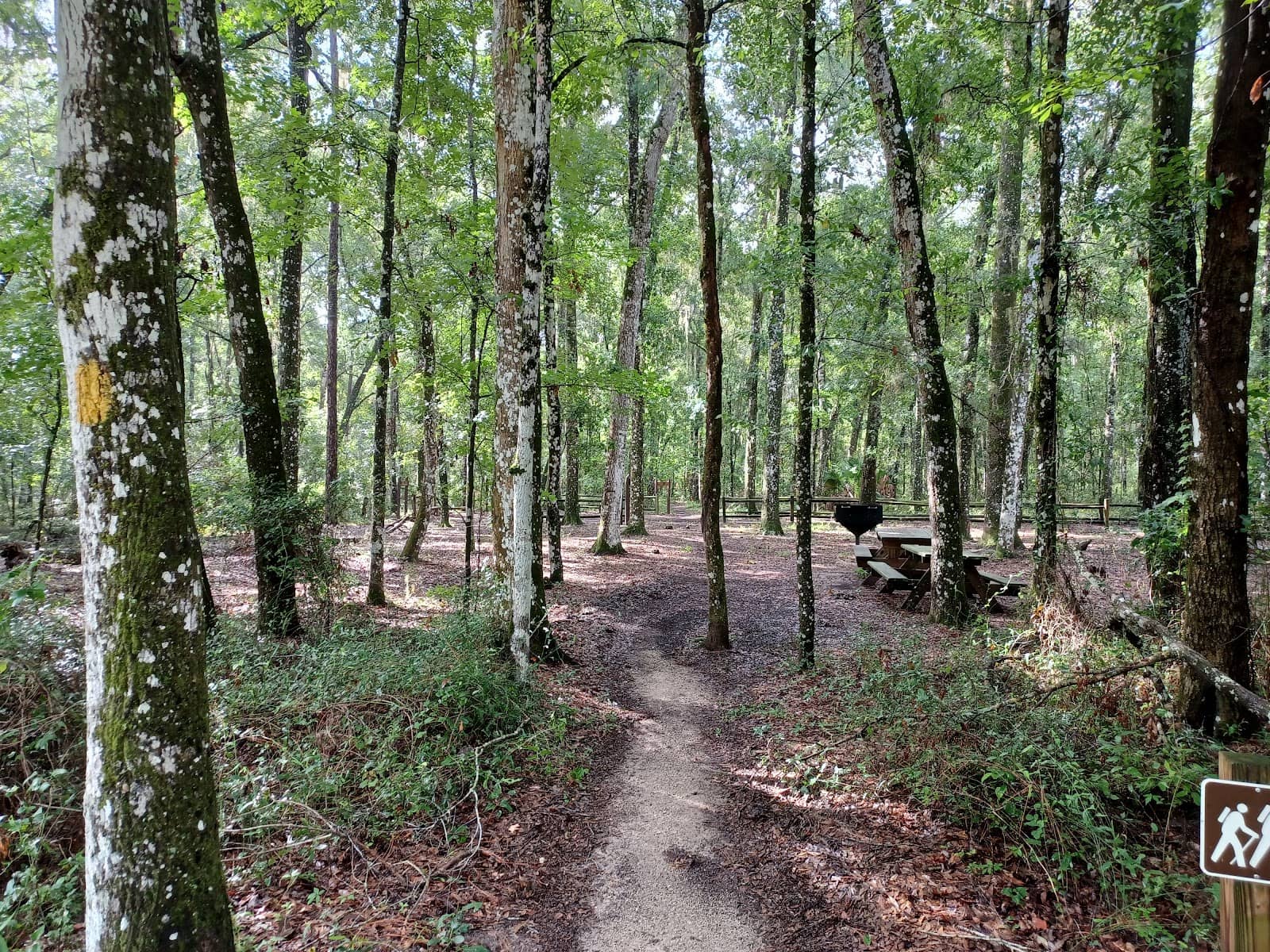 Historic Cemetery