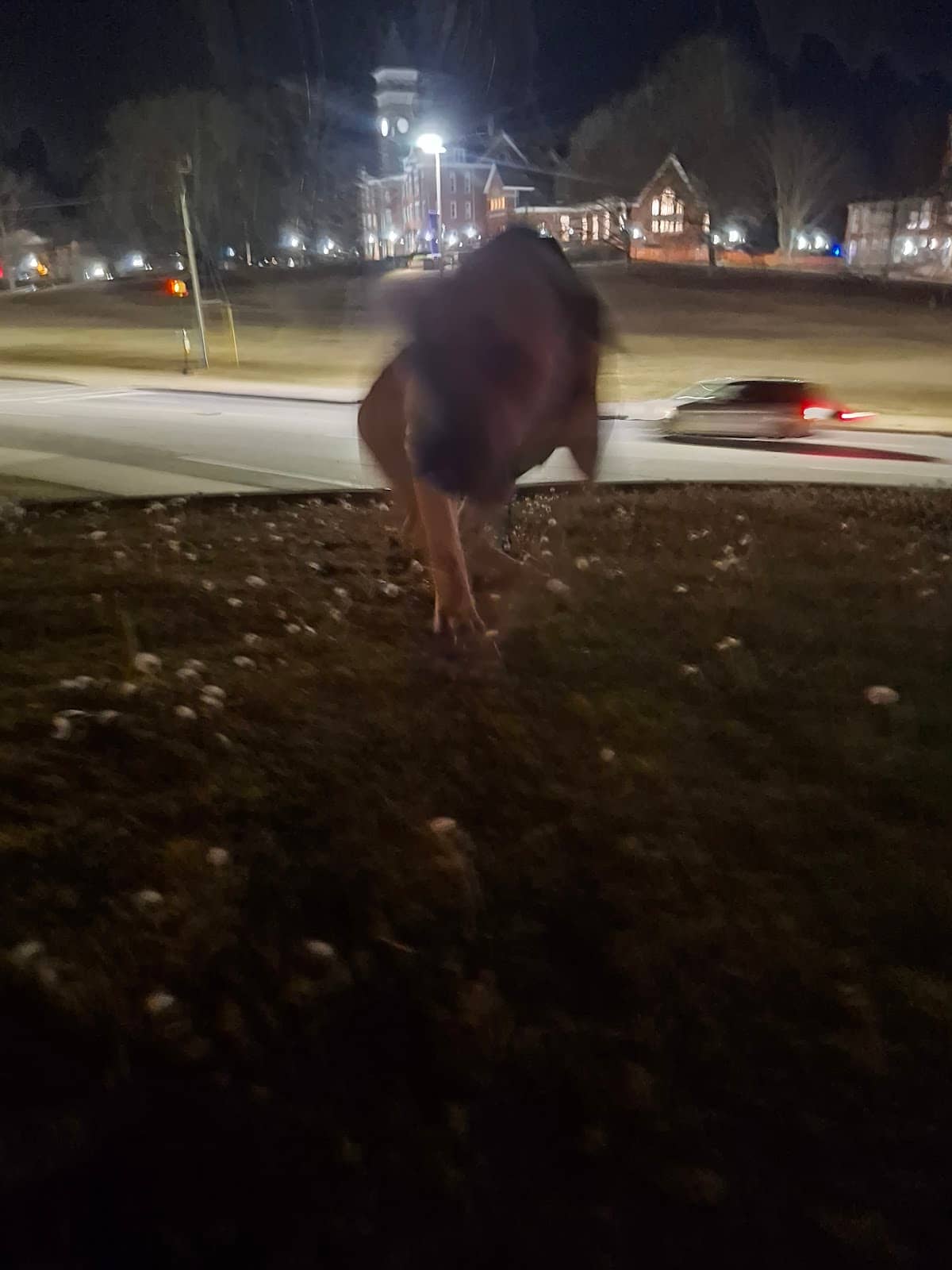 Homecoming Week Vibes