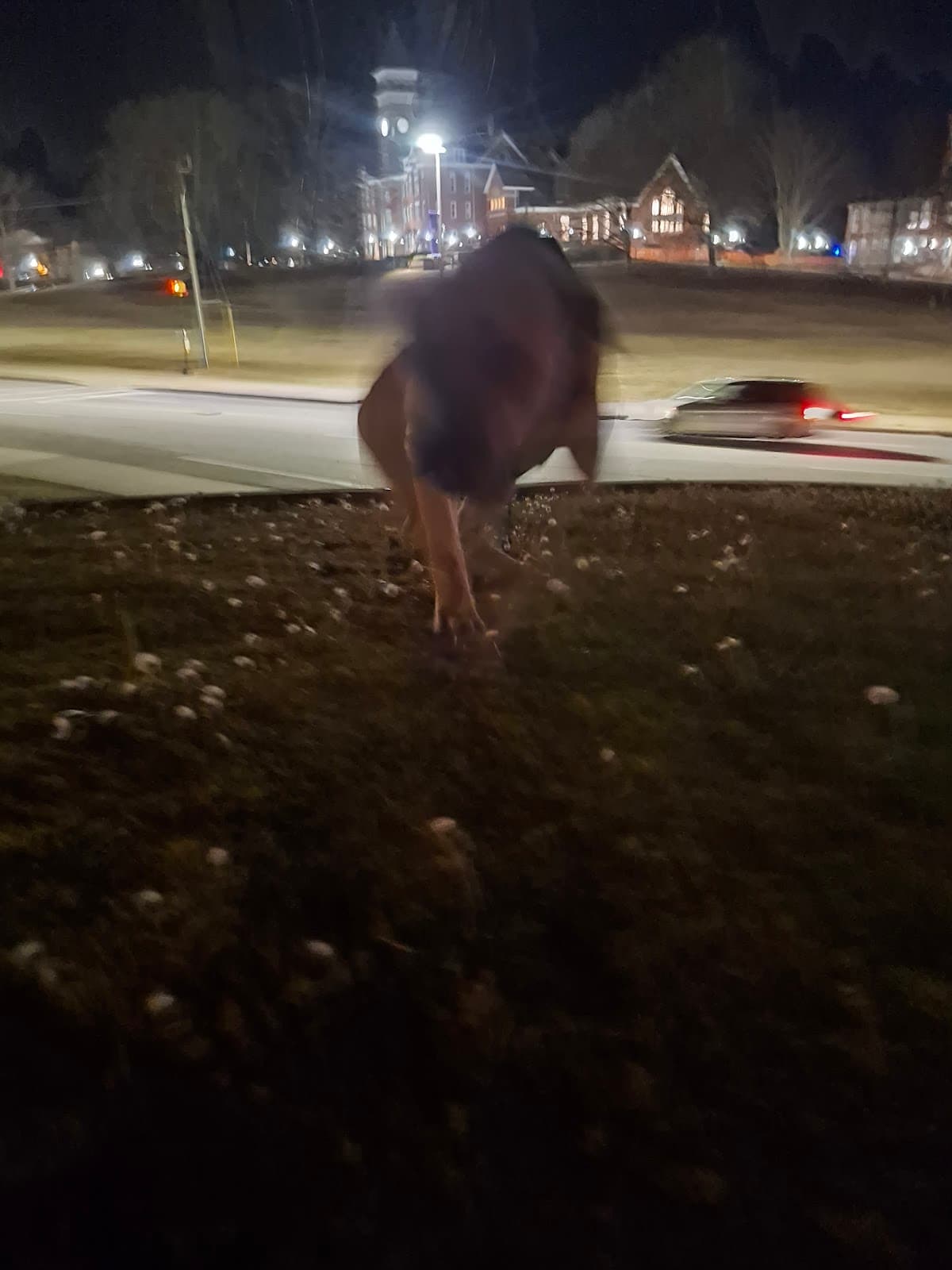 Bowman Field - Image 1