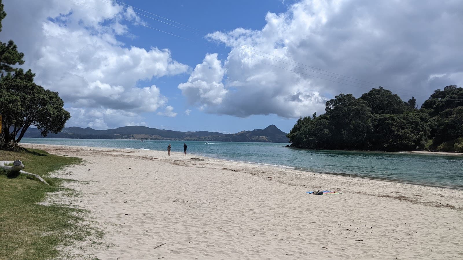 Purangi Estuary - Image 1