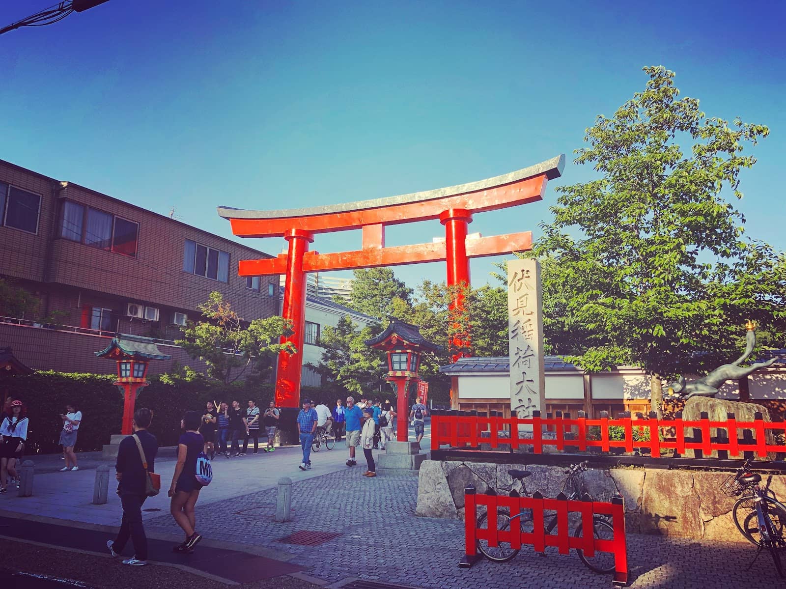 Mount Inari Summit Views