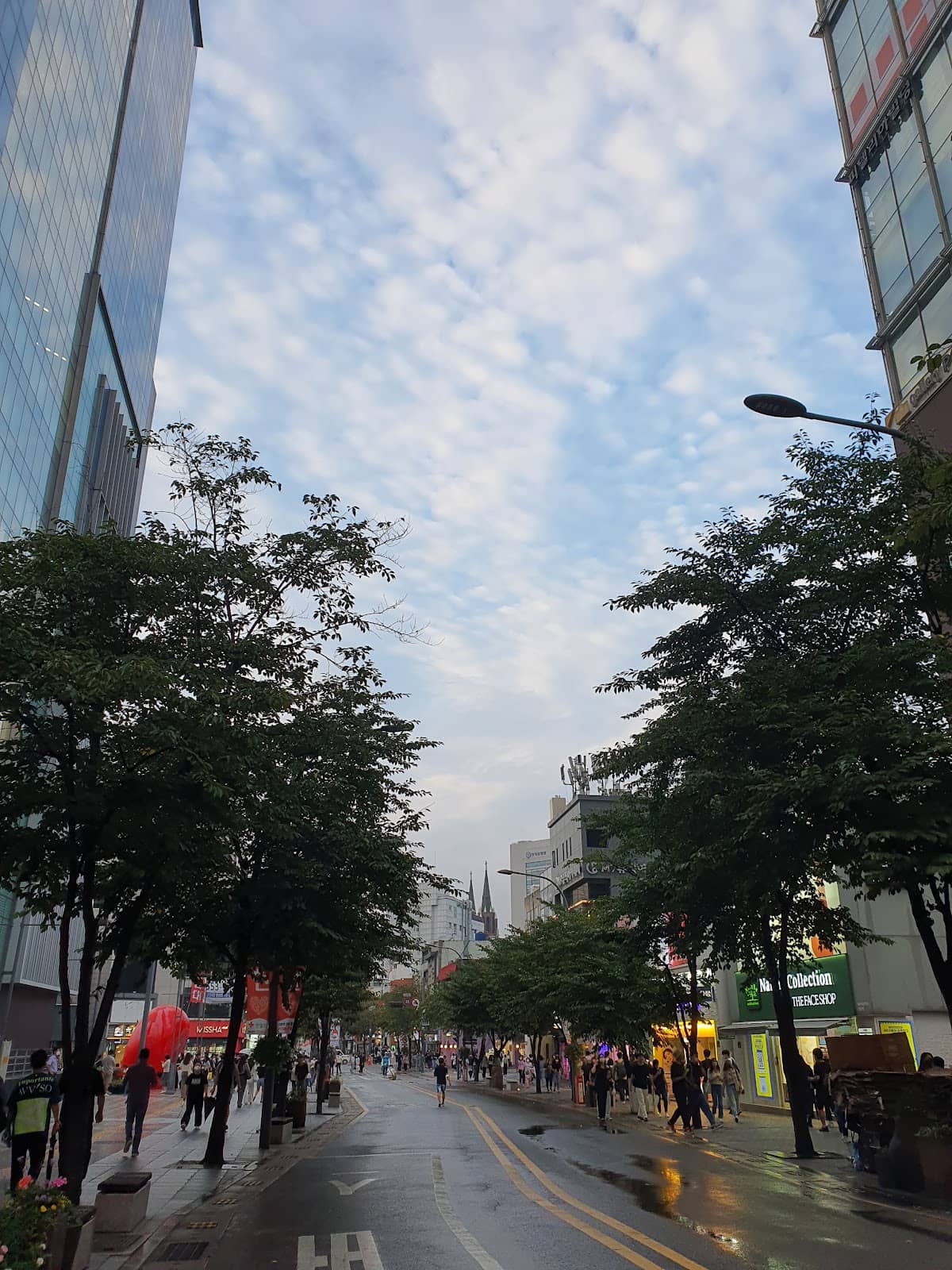 Ewha Woman's University Area