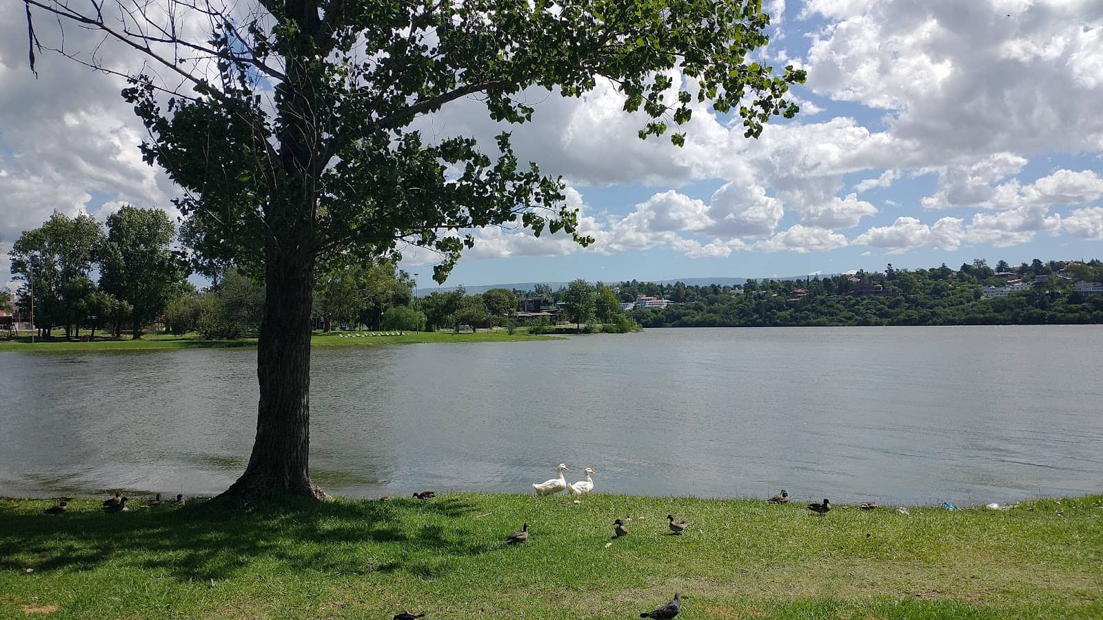 Family-Friendly Excursion