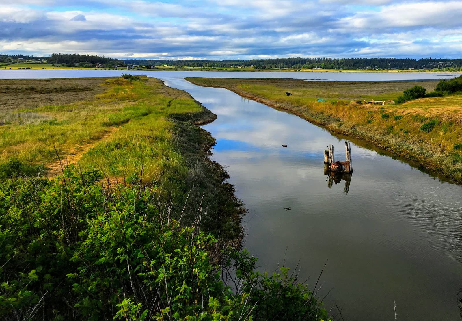 Crockett Lake - Image 1