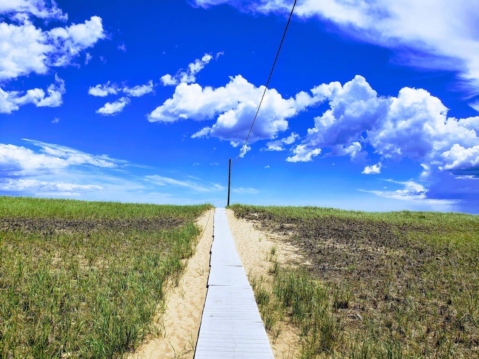 Vertical photo