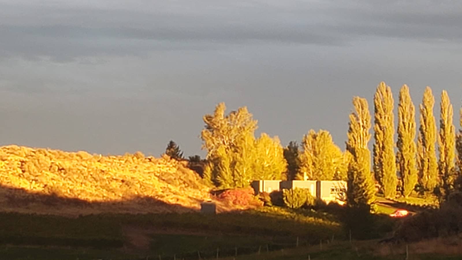 Peaceful Evening Views