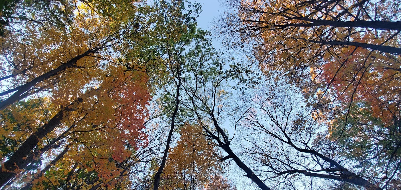 West River Parkway - Image 1