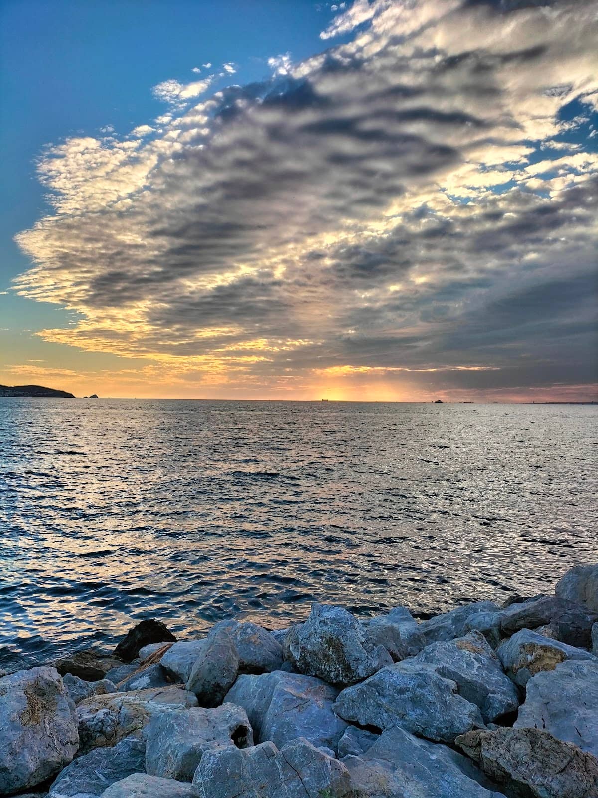 Vertical photo