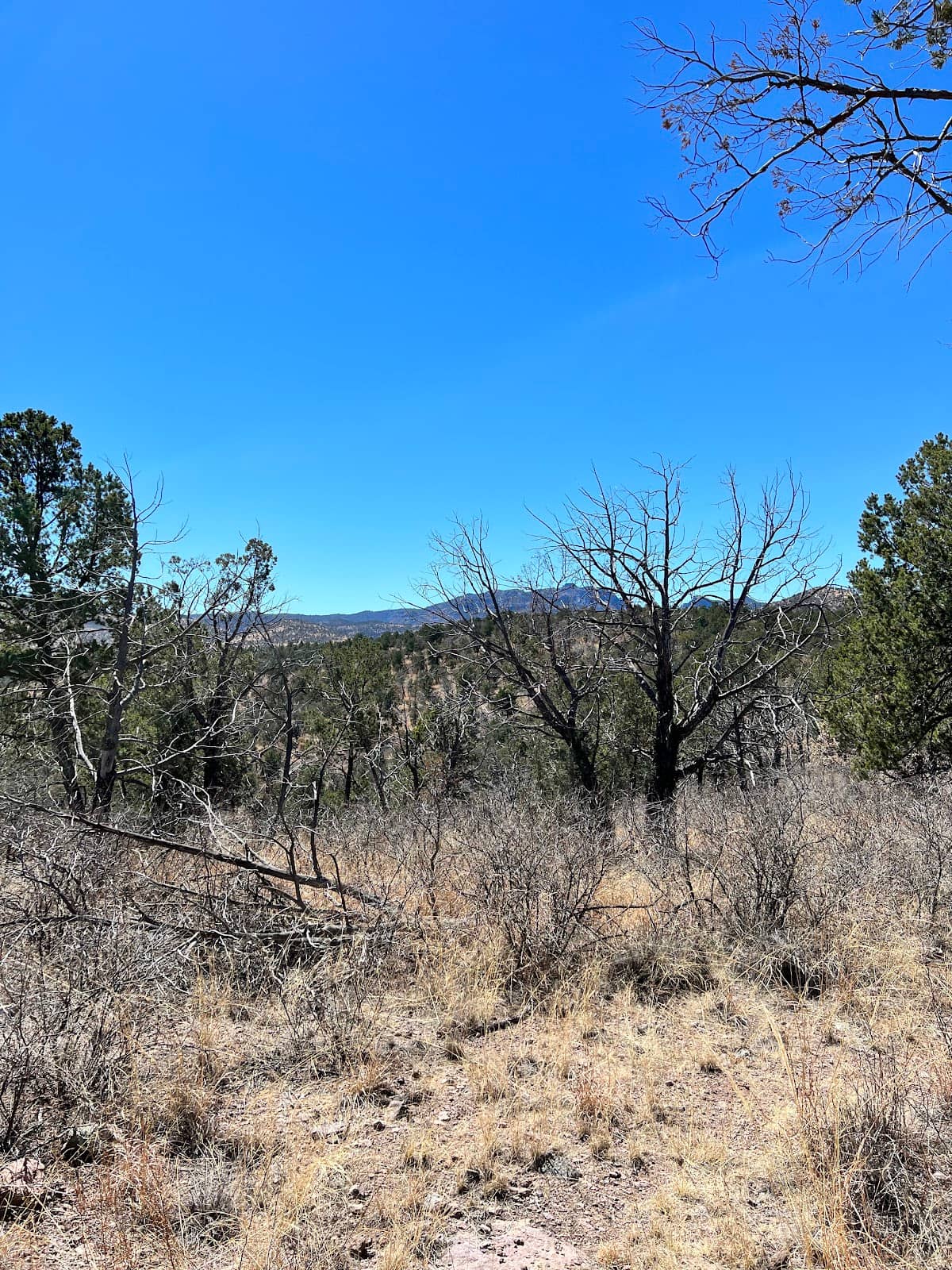 Mount Livermore Trail