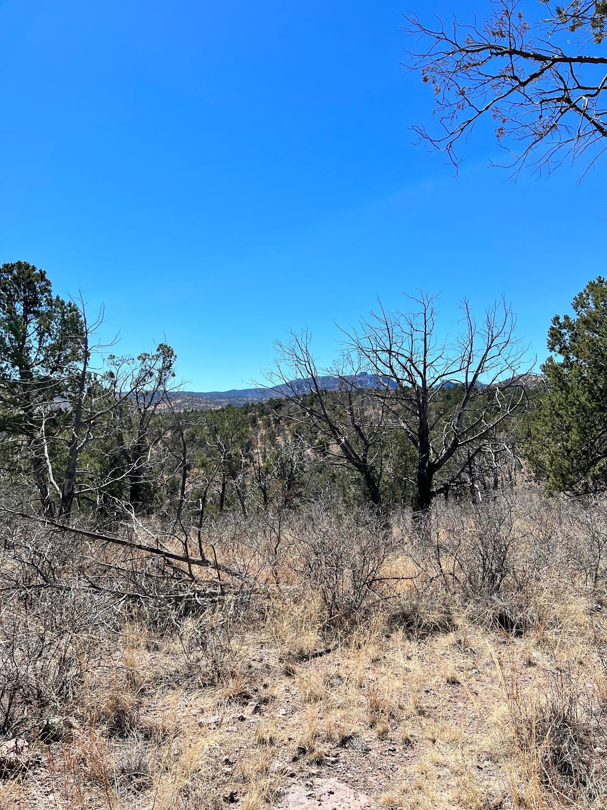 Davis Mountains Preserve - Image 1