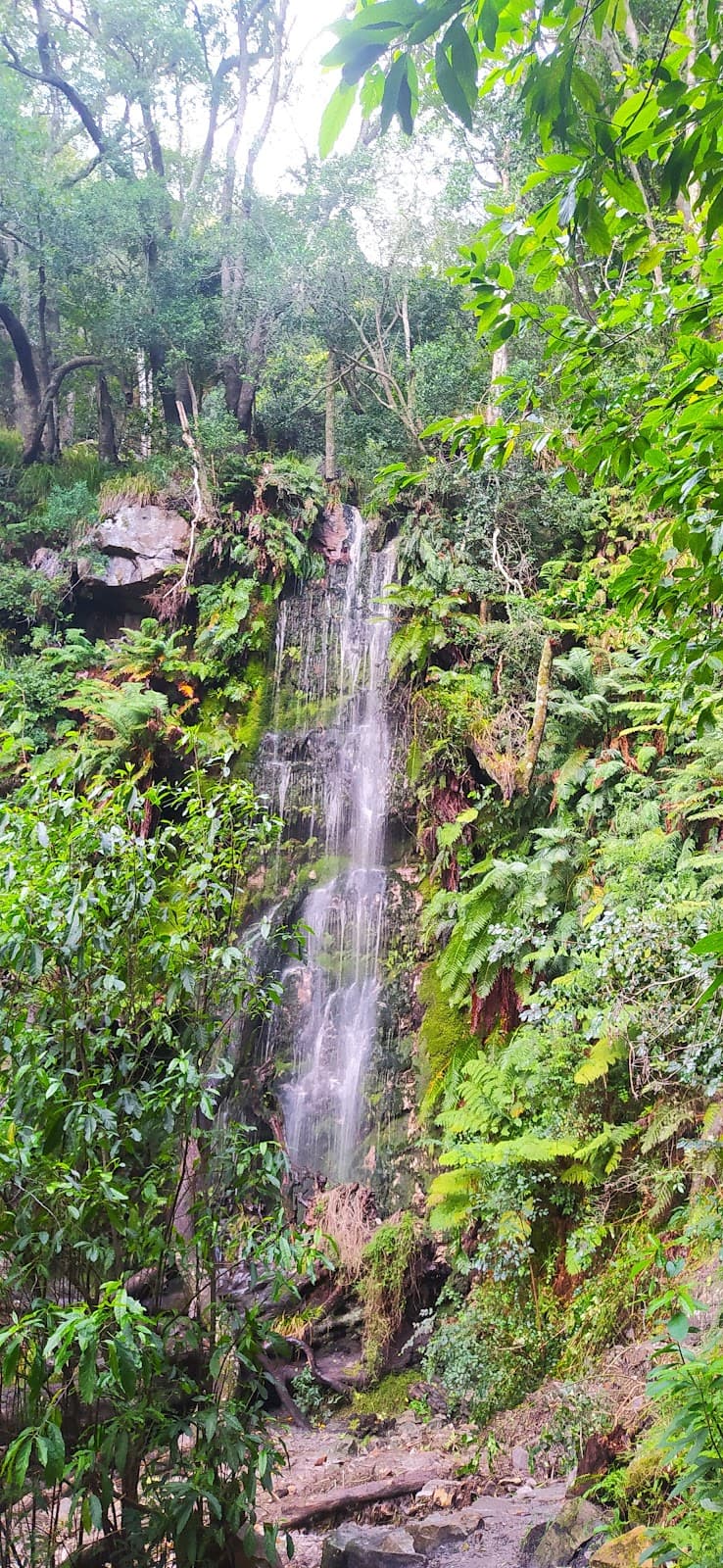 Cecilia Waterfall - Image 1