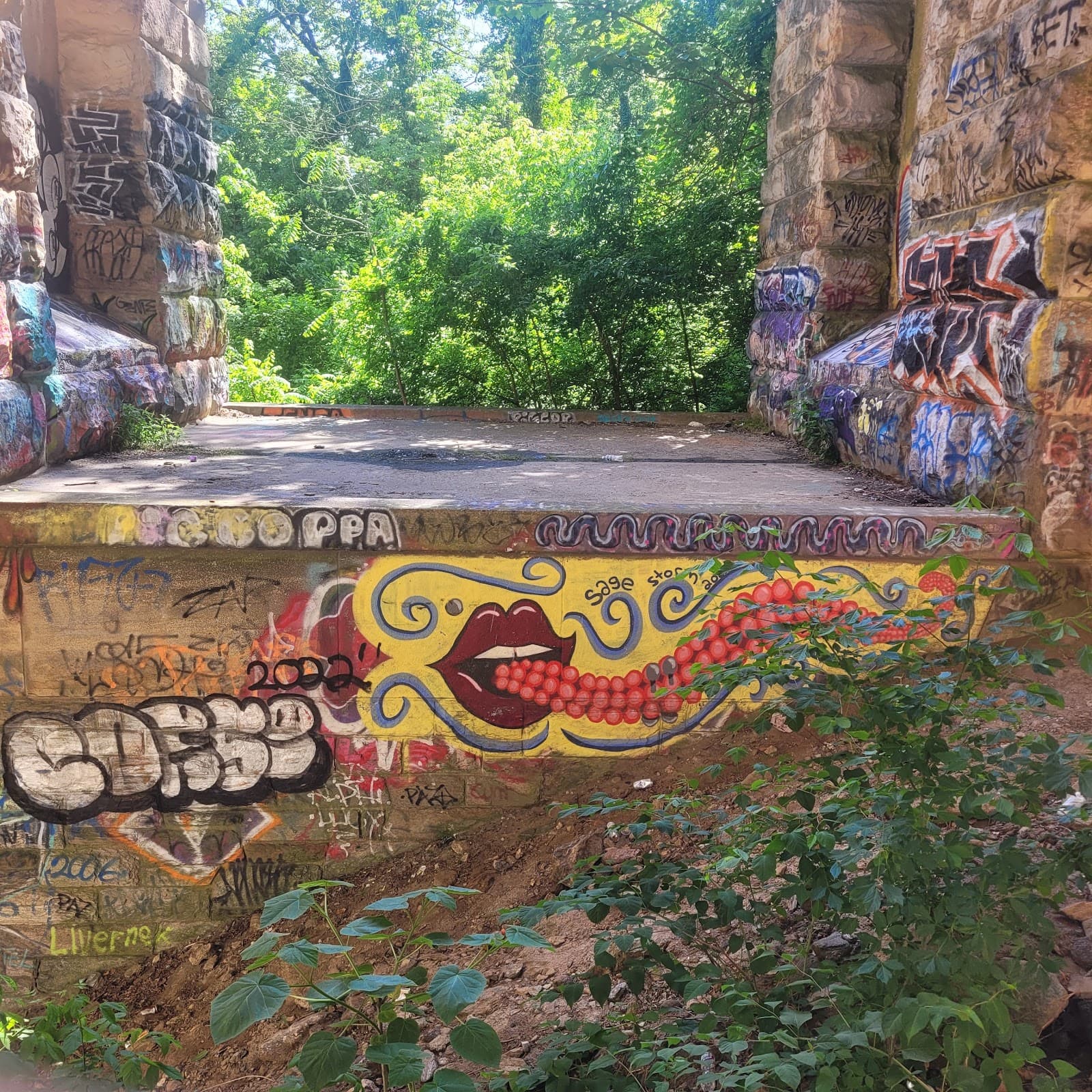 Forbidden Drive Wissahickon - Image 1