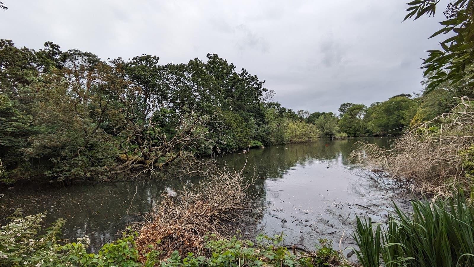 Ewell Court Park - Image 1