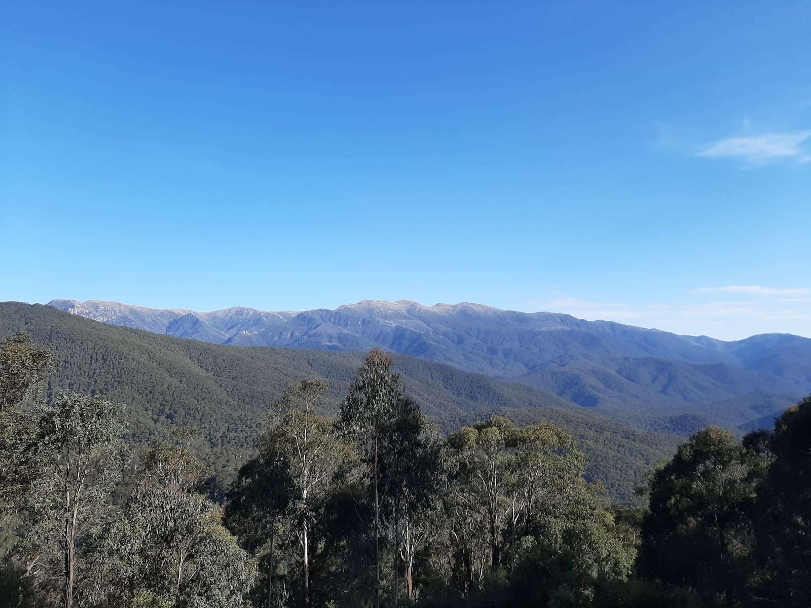 Scammell's Lookout - Image 1