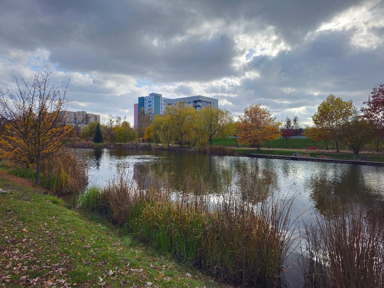 Staw Amelung - Image 1