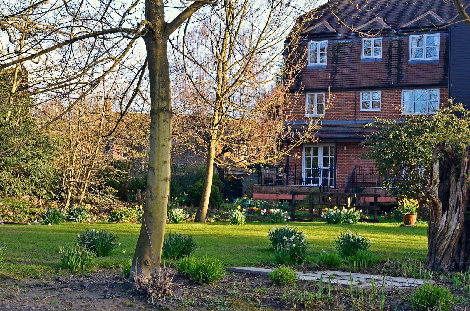 Local Wildlife Spotting