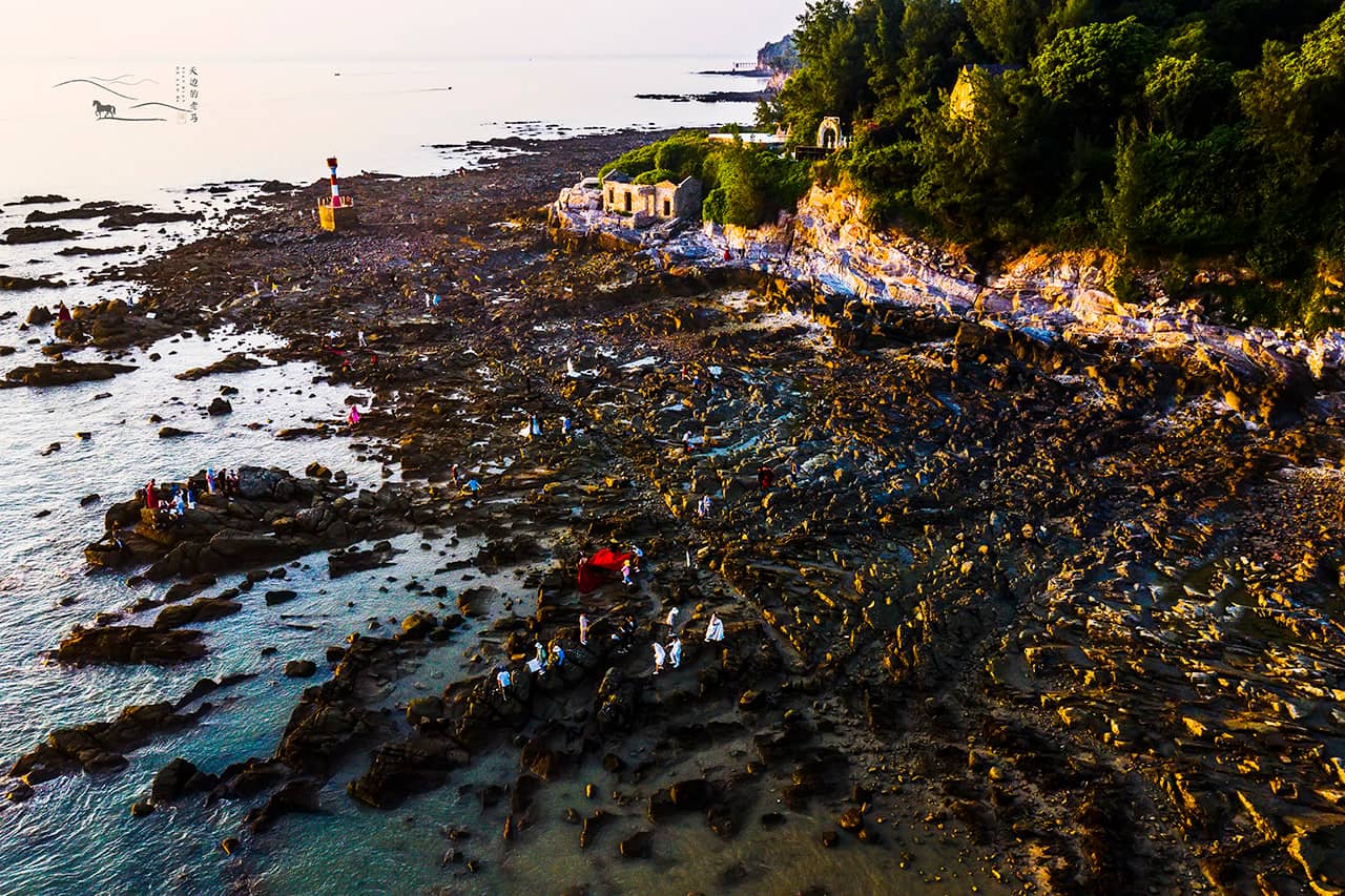 Coastal Beach Area