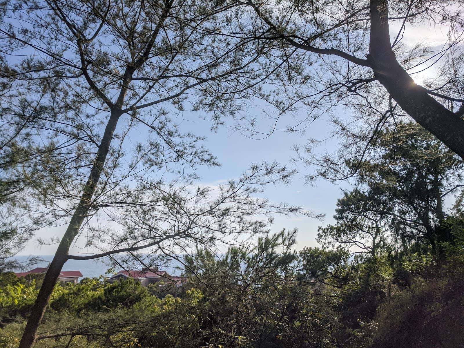 Vertical photo