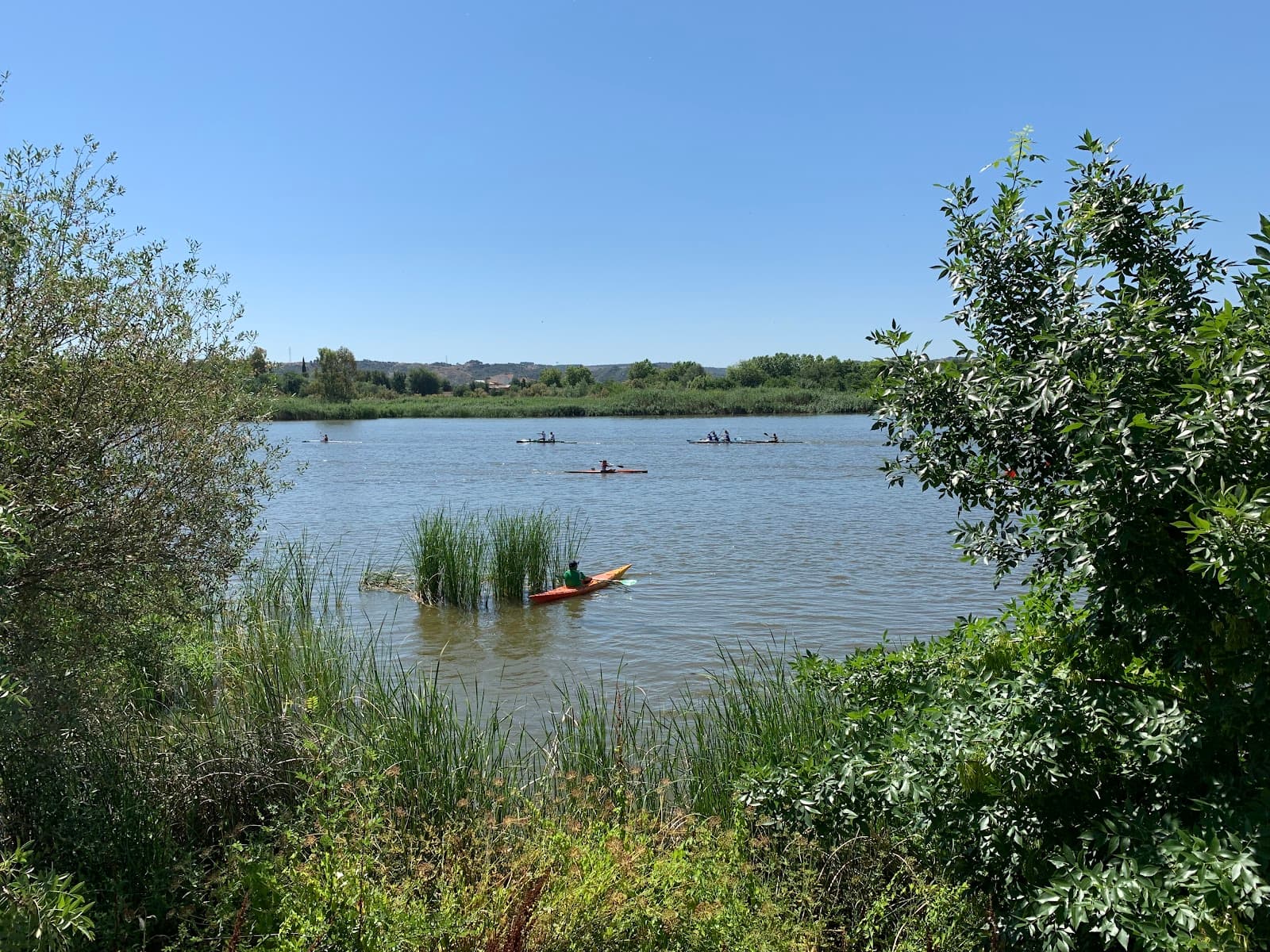 Ribera del Tajo - Image 1