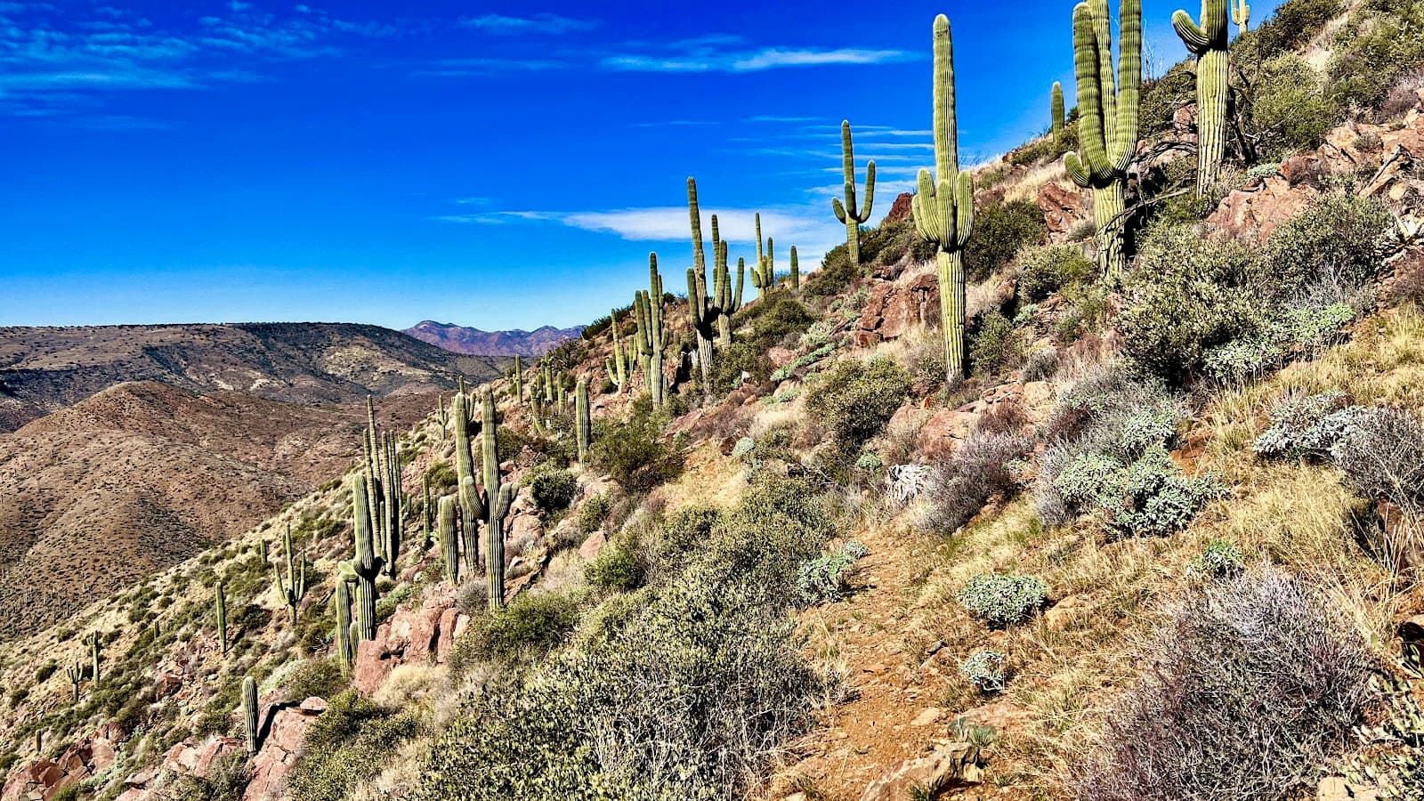Maricopa Trail (Cave Creek Segment) - Image 1