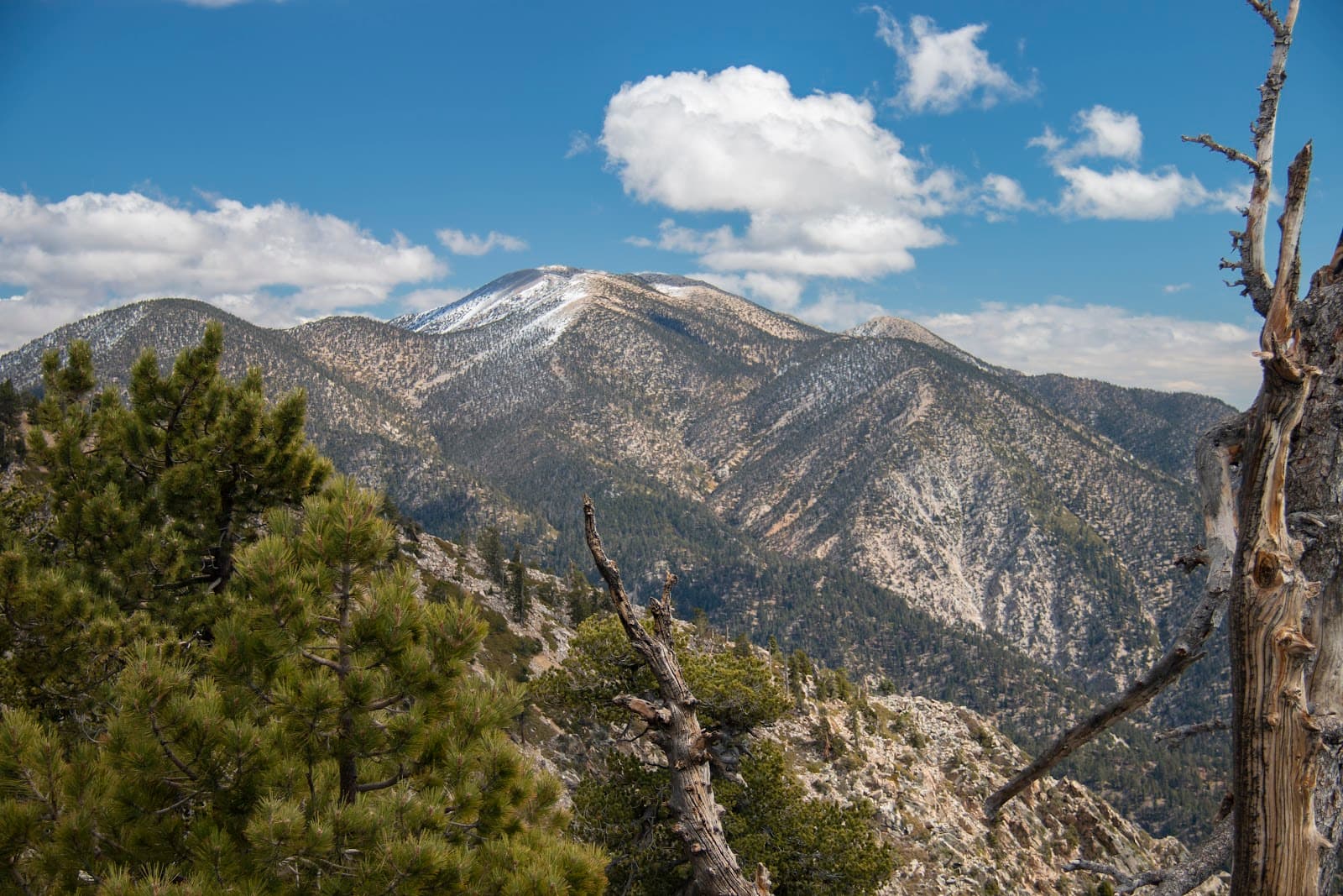 San Gorgonio Wilderness - Image 1